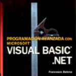 leer PROGRAMACION AVANZADA CON MICROSOFT VISUAL BASIC.NET gratis online